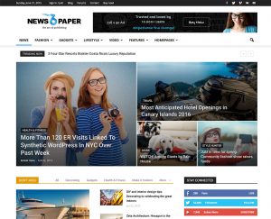 Wordpress tema ismi bulma