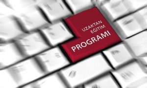 Uzaktan Eğitim Dezavantajları