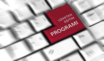 Uzaktan Eğitim Dezavantajları