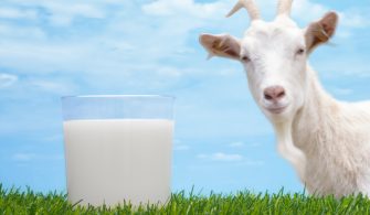 Keçi Sütü Maması