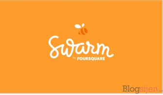 Swarm Gizli Check in